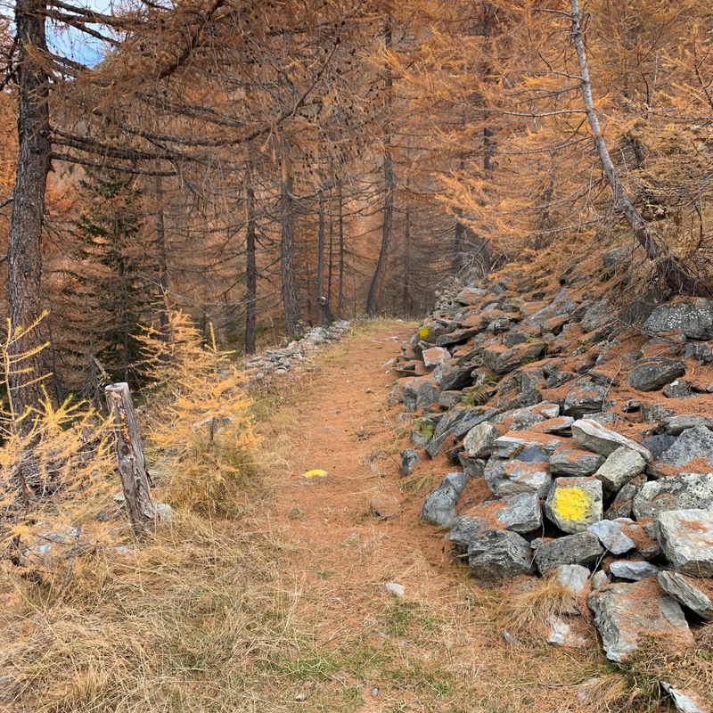 LTH-Plan Praz Ricovero Cap. Sandino-Petosan-LTH