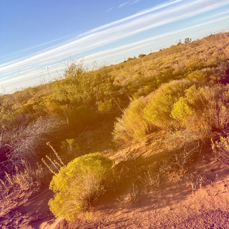 single track adjacent
