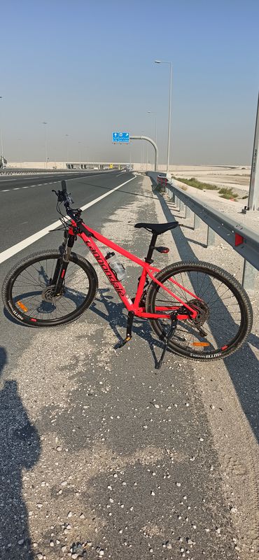 self fun ride for sun bathing :)