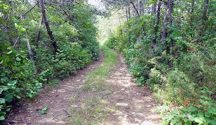 Photo 1 of the Bikemap route "ISTRA MTB Buje Momjan Grožnjan"
