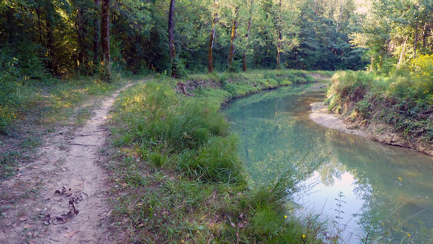 ISTRA MTB Wild boars &amp; Mirna