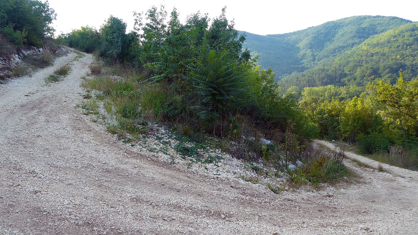 ISTRA MTB Wild boars &amp; Mirna