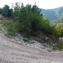 ISTRA MTB Wild boars &amp; Mirna