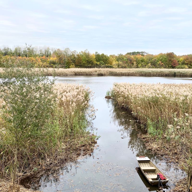 Ridgewood Reservoir and the Many Cemeteries of Queens Route