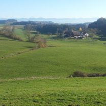 Hannober - Wangen - Kißlegg - Runde