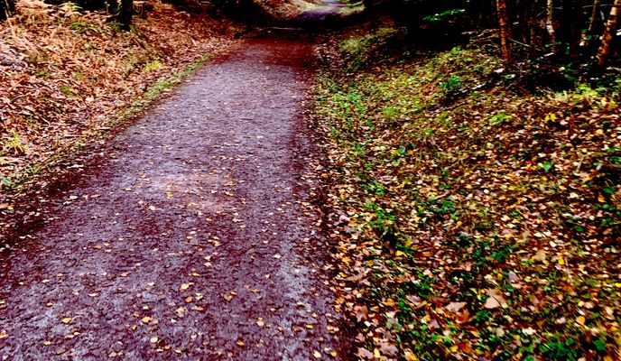 Photo 2 de l’itinéraire Bikemap « fall in love with autumn »
