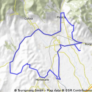 Montecarlo - Uzzano