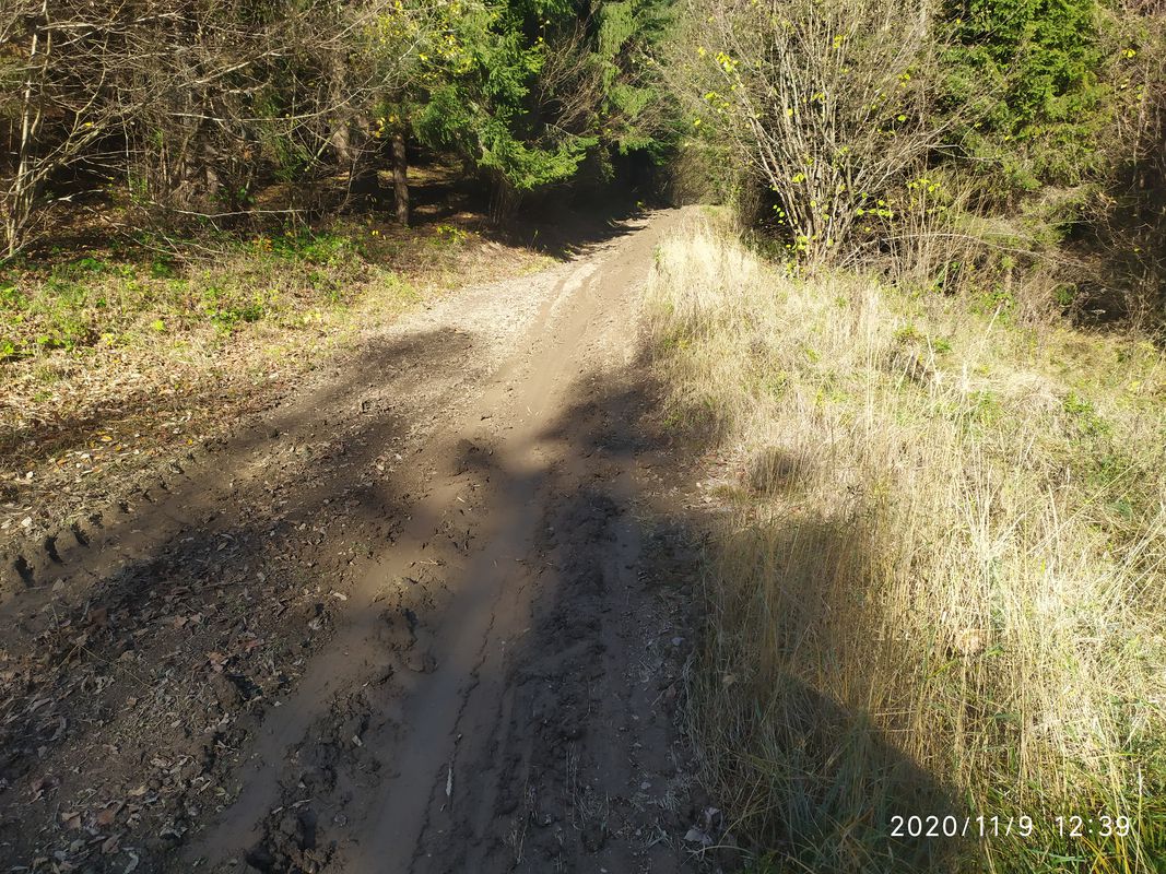 Vyšné Ružbachy do Unnamed Road, Vyšné Ružbachy
