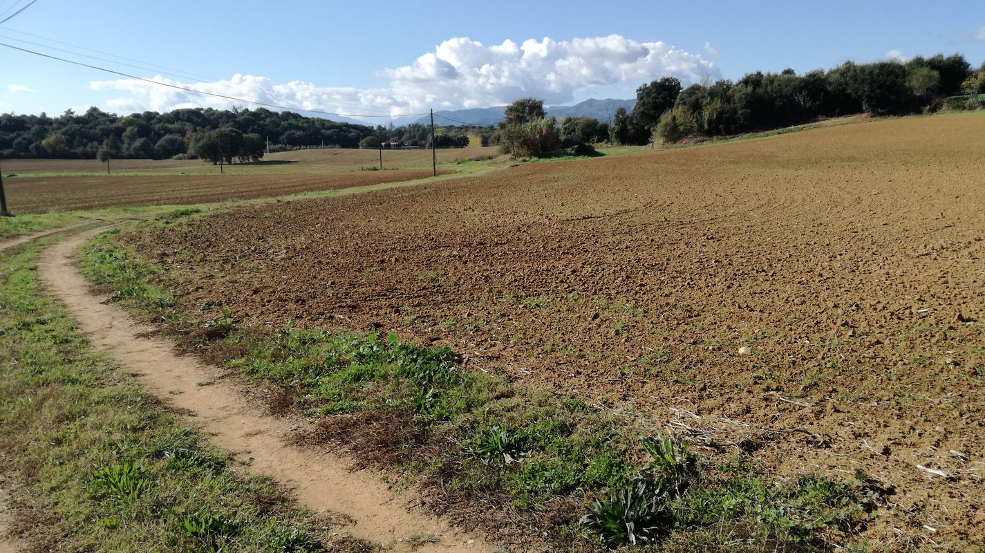 bescanó-estanyol