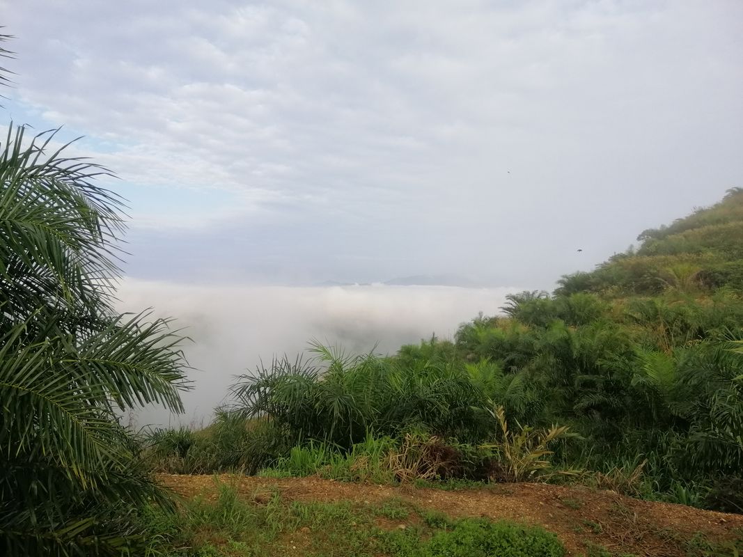 Gua Musang to bukit besi