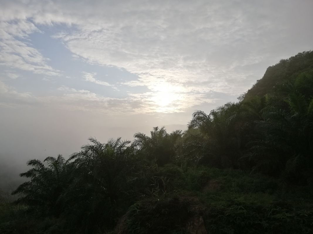 Gua Musang to bukit besi