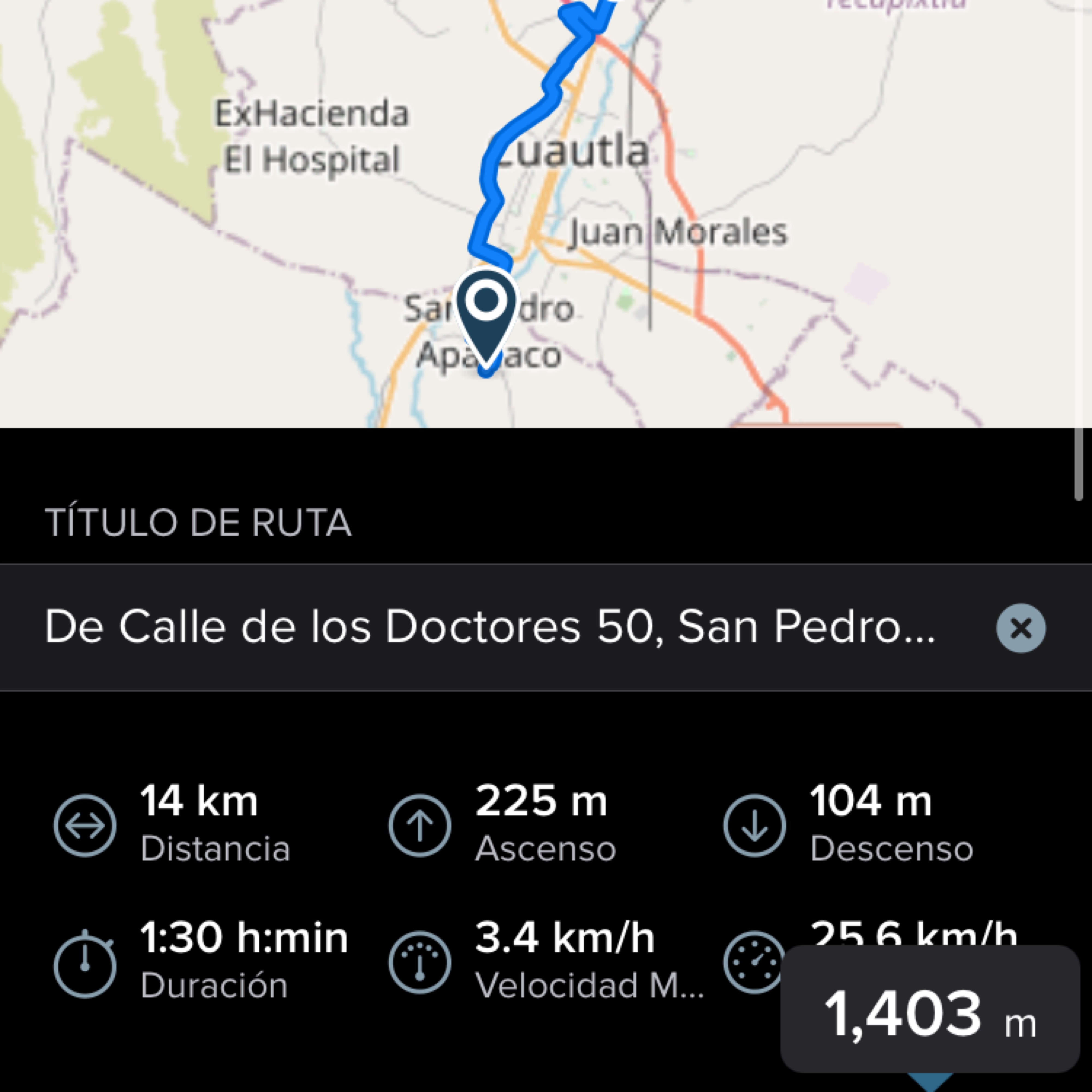 CAMINO AMARTE