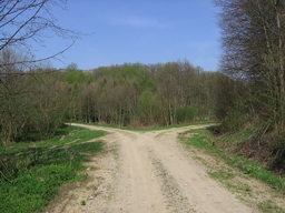 Hebe Bild 3 entlang der Bikemap-Route "Ribnjaci - Golo Brdo" hervor