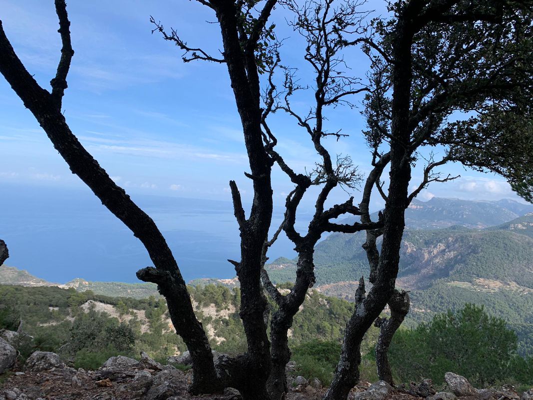 Mallorca a peu: moletó de sa Granja des del camí des Correu