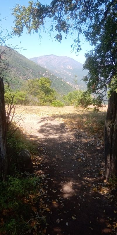 tranque millahue