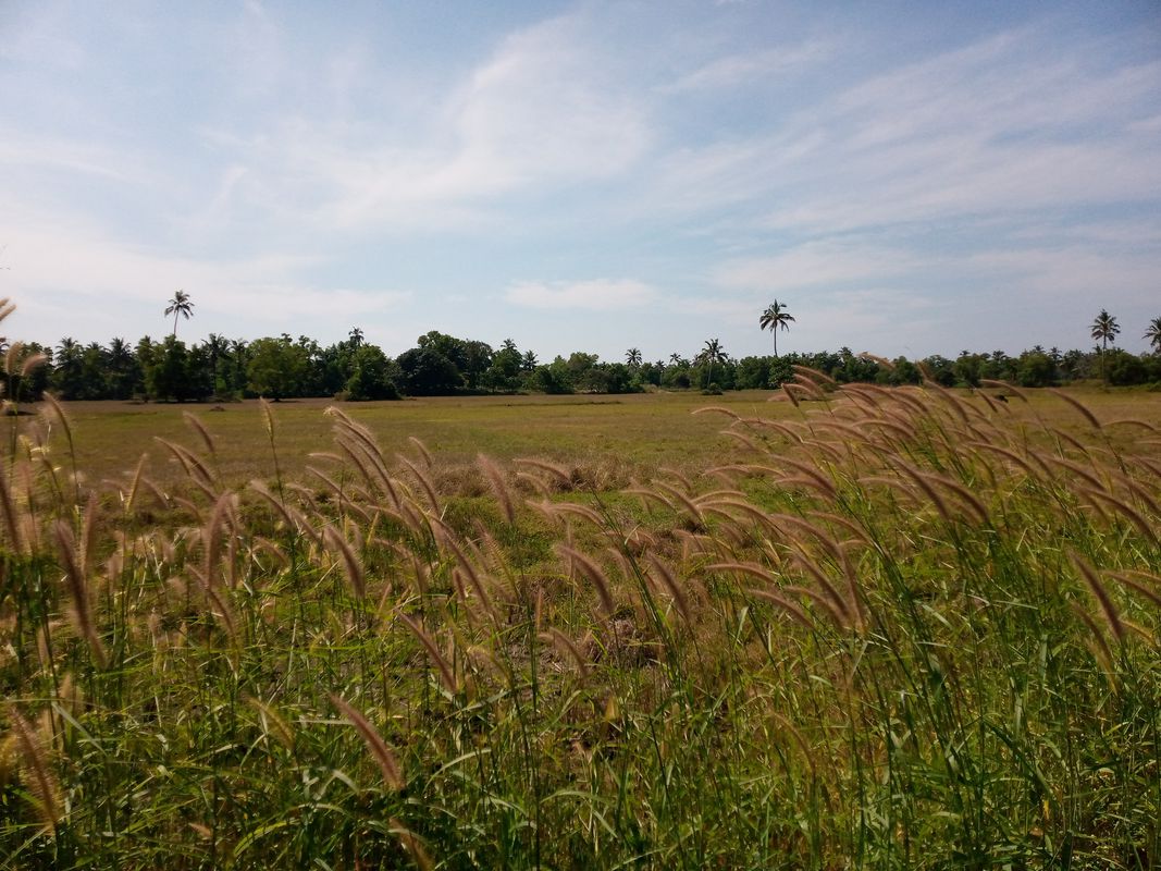 Panjim - Belagavi Road, Tisk to Carmona Beach Road, Varca
