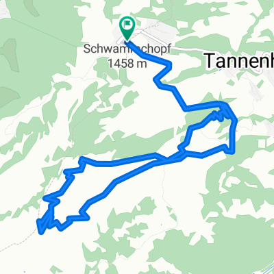 Flumserberg-Tannenbodenalp-Brodkamm-Tannenbodenalp