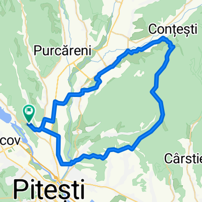 Arm-Stefanesti-Mioveni