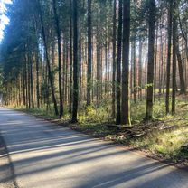 Foto 7 der Bikemap-Route "Salzburg – nördlicher Flachgau"