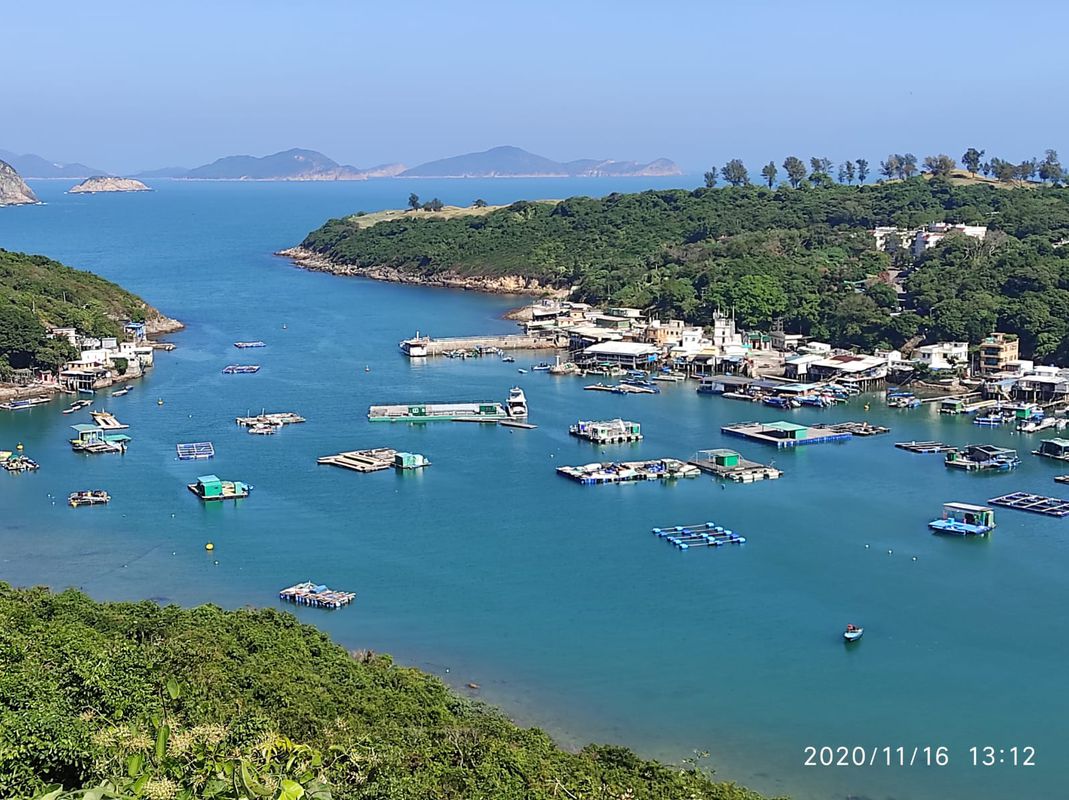樂富 清水灣 將軍澳 郵輪碼頭