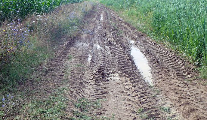 Photo 1 of the Bikemap route "ISTRA MTB Muddy"