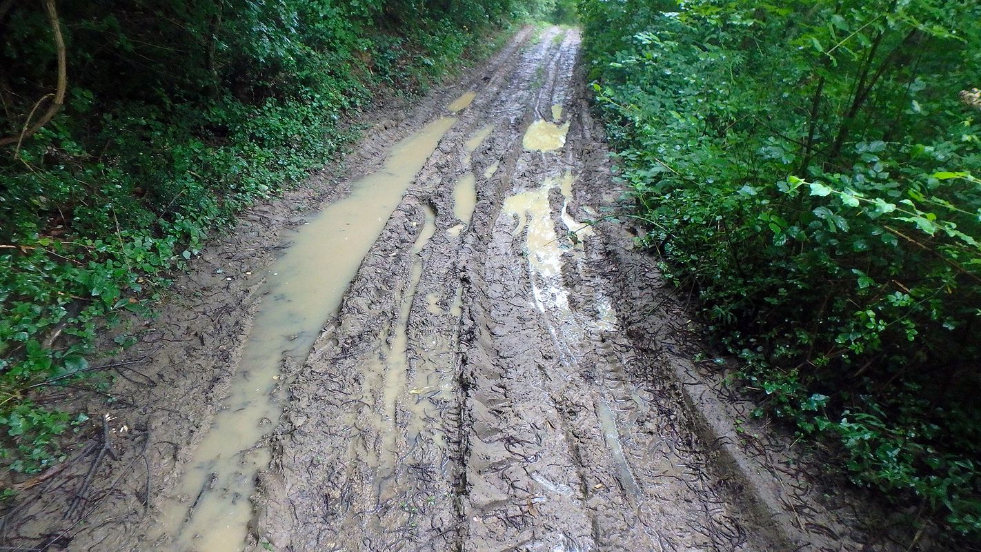 ISTRA MTB Lost in time
