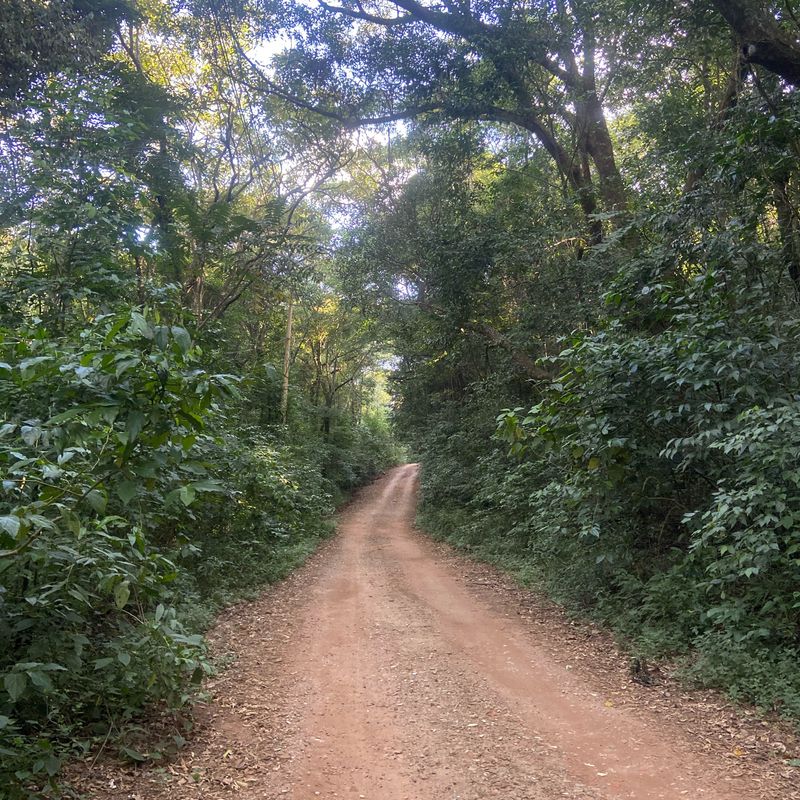 Malota &gt; Base ecológica