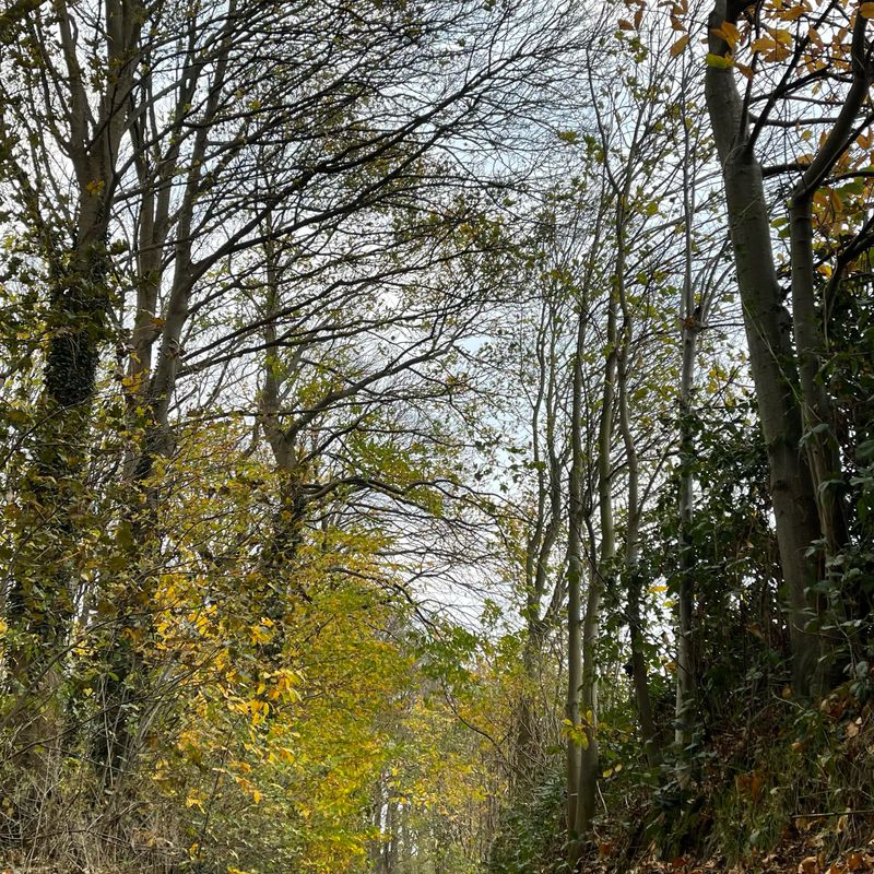 Mechelen/Kapelle-op-den-bos/Vilvorde