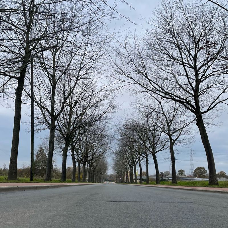 Mechelen/Kapelle-op-den-bos/Vilvorde