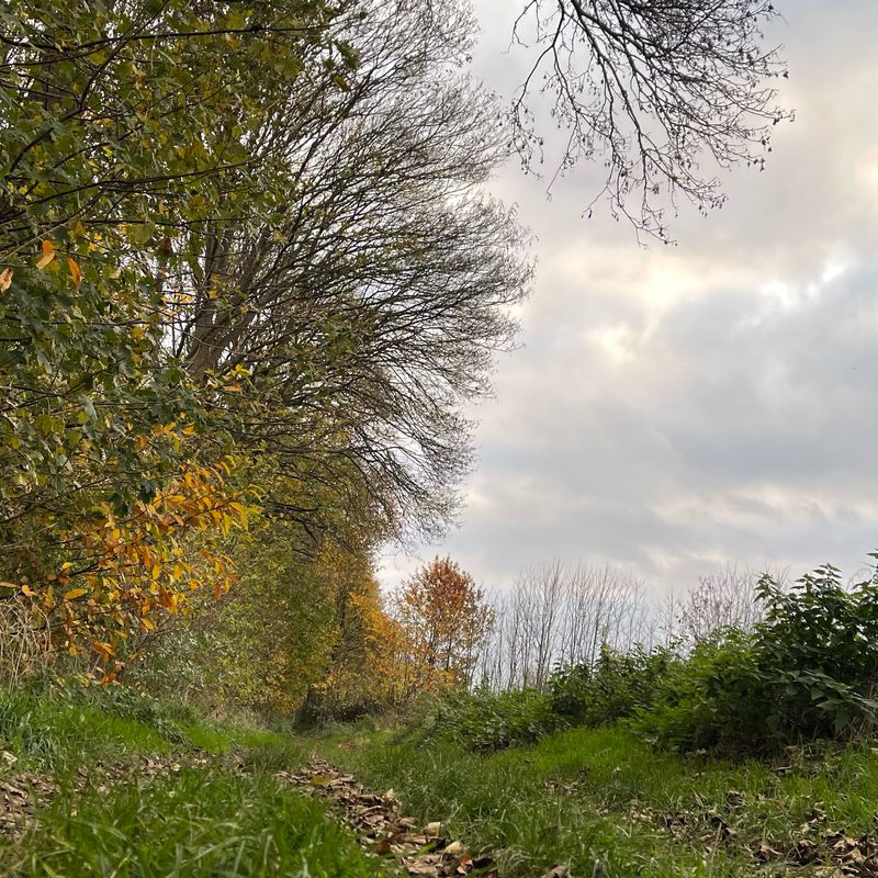 Mechelen/Kapelle-op-den-bos/Vilvorde