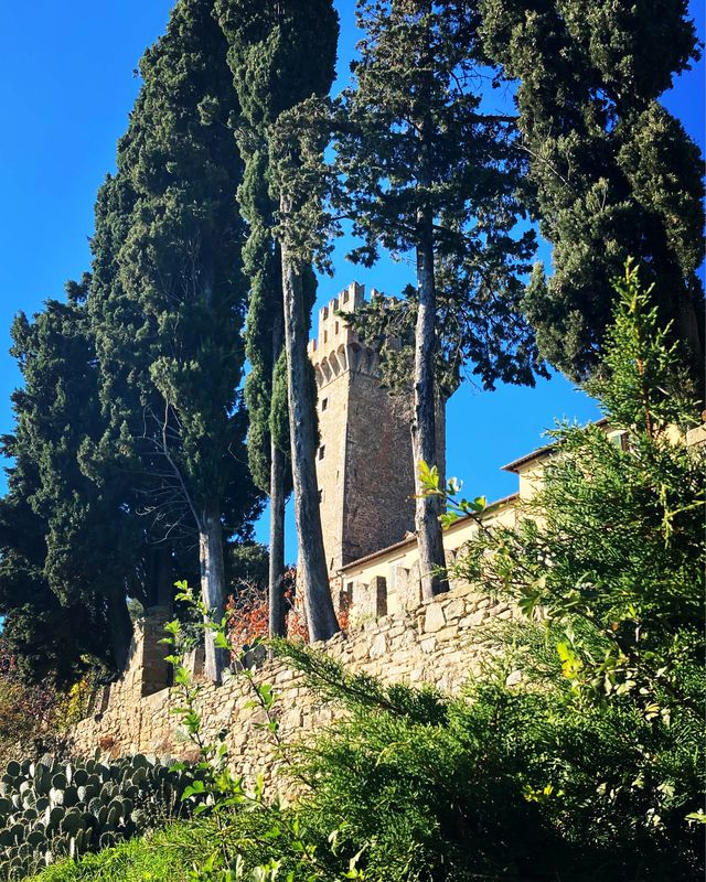 mtb montecchio castle 🏰