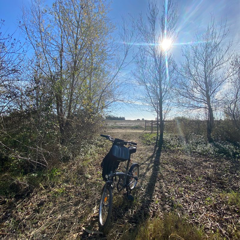Beautiful flat ride from Sant Carles to the Ebro