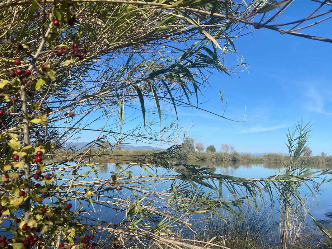 Beautiful flat ride from Sant Carles to the Ebro