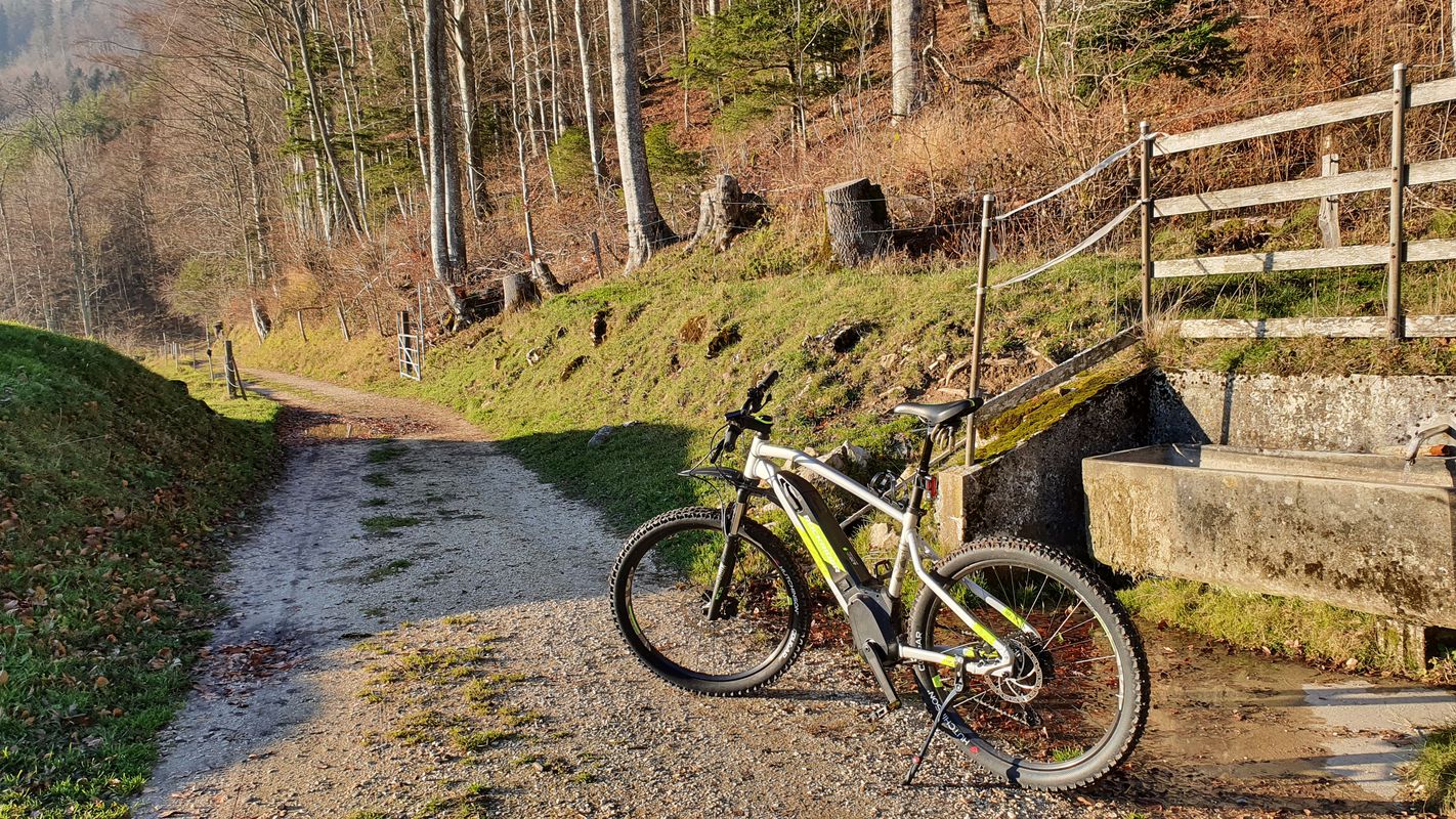 Buchenstrasse 3, Riedholz nach Sonnenrainstrasse 20, Riedholz