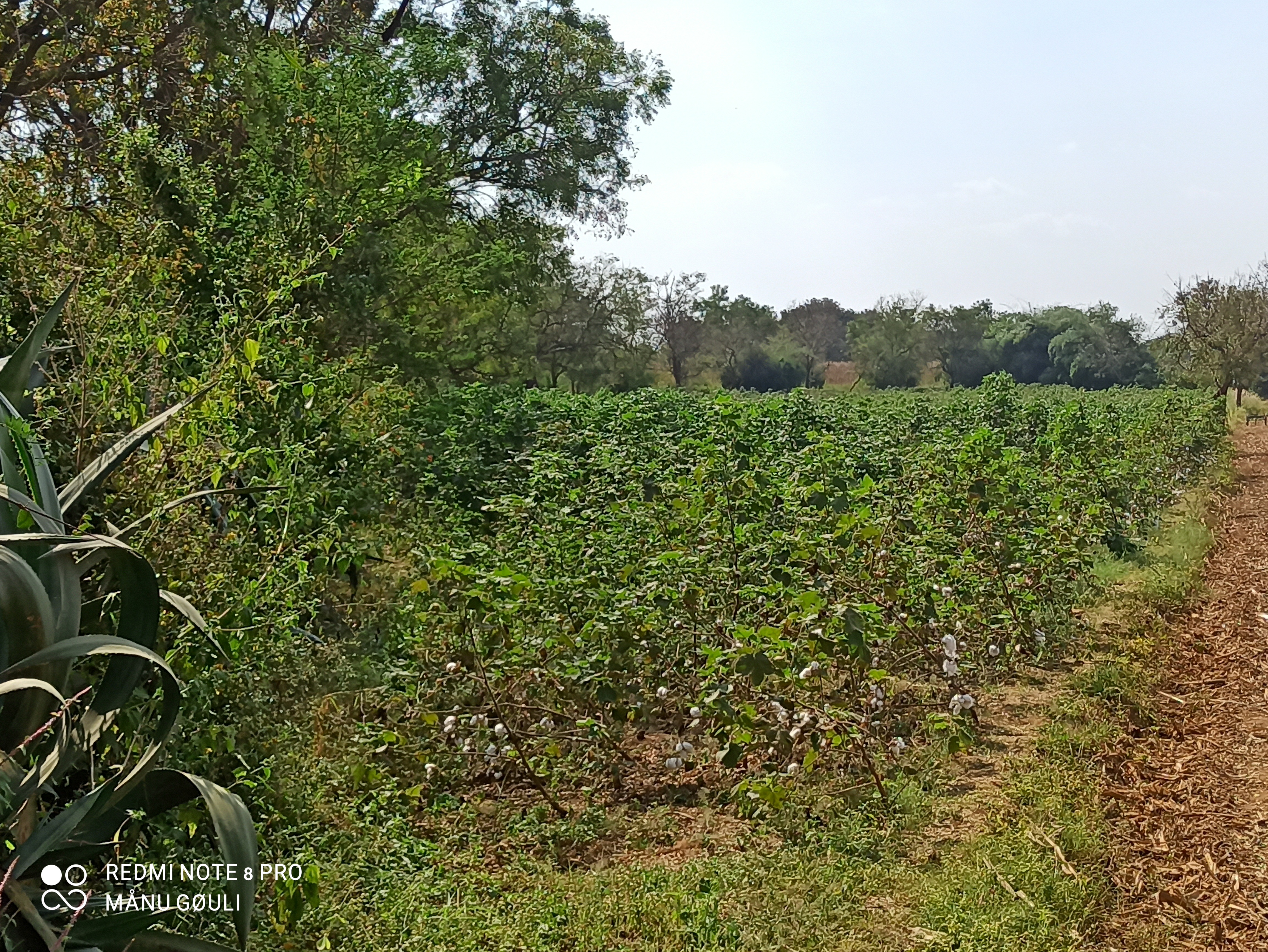 Unnamed Road, Kerimattihalli to Unnamed Road, Kerimattihalli