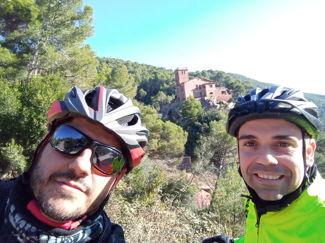 Barbera-polinya-castell de guanta-polinya-Barbera