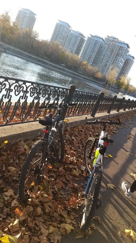 Șoseaua Olteniței 129, București to Șoseaua Olteniței 173, București