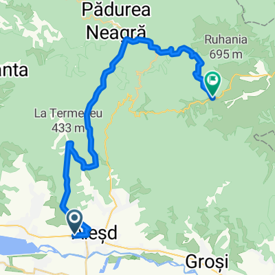 Alesd valea Sinteu creasta Sinteu