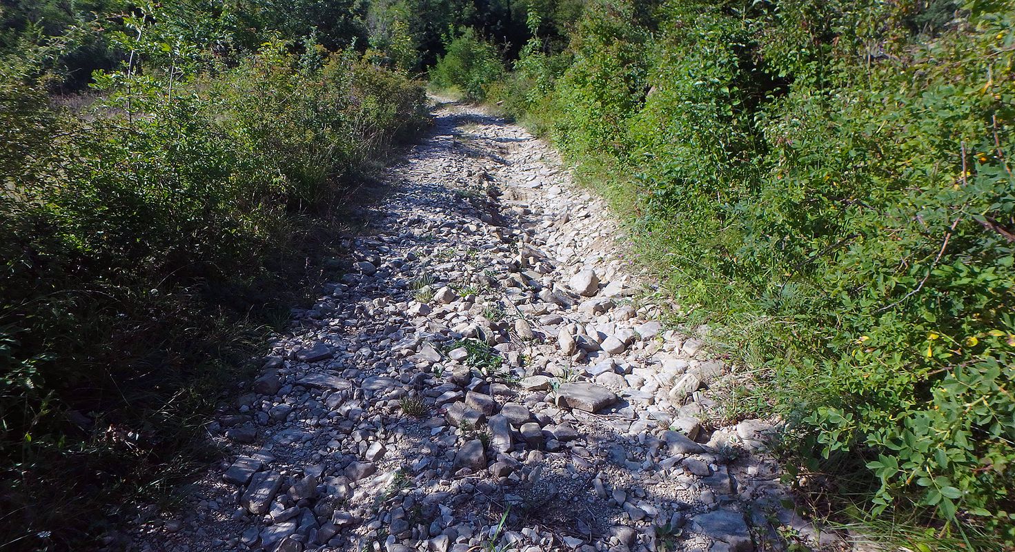ISTRA MTB Buje Kučibreg