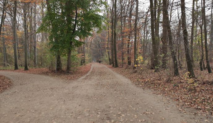 Foto 1 de la ruta de Bikemap "25km Köln"