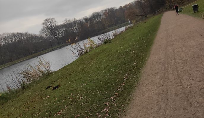 Foto 2 de la ruta de Bikemap "25km Köln"