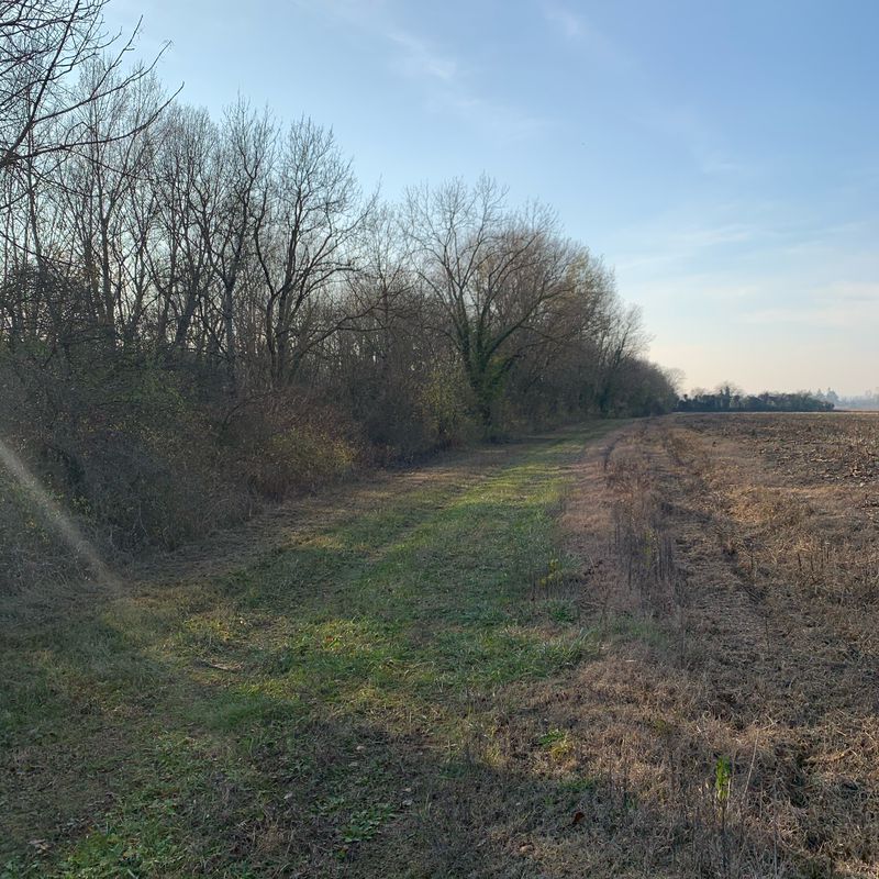 Parcours St Jean - Charnoz - Chazey