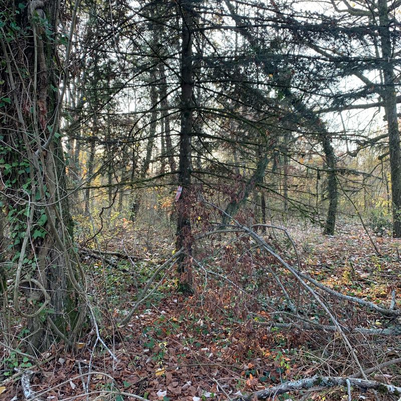 Parcours St Jean - Charnoz - Chazey
