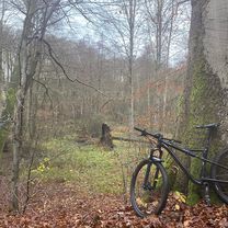 The Sachsenwald, unendles trails …🤪