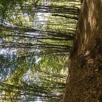 Photo 7 of the Bikemap route "mottarone via coiro monte gignese"