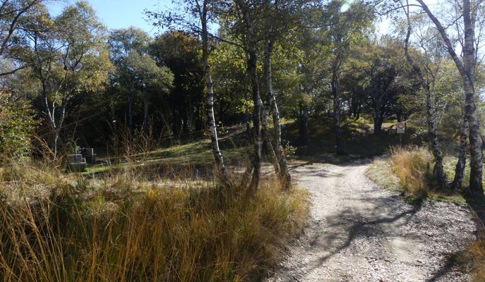 Photo 1 of the Bikemap route "mottarone via coiro monte gignese"