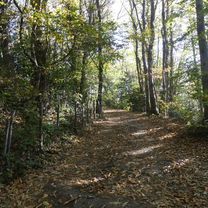 Photo 8 of the Bikemap route "mottarone via coiro monte gignese"