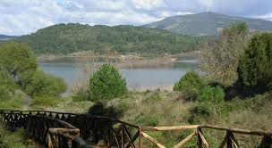 12) Argentiera
