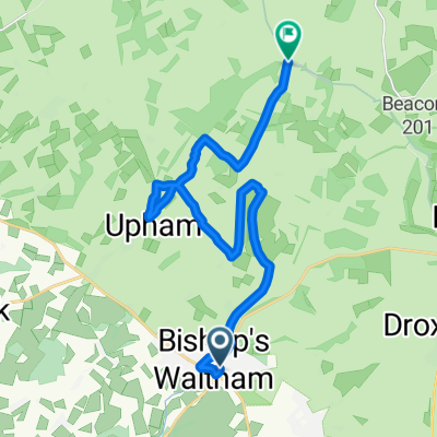 halloween 2008 bishops waltham to the mllberry pub