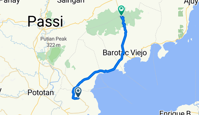 Unnamed Road, Barotac Nuevo to Barotac Viejo - San Rafael Road